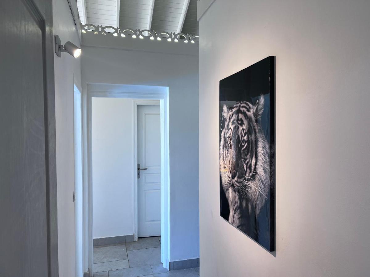 Villa Taiana Quarter of Orleans Εξωτερικό φωτογραφία